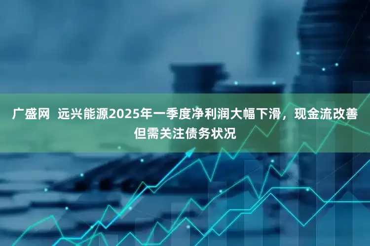 广盛网  远兴能源2025年一季度净利润大幅下滑，现金流改善但需关注债务状况