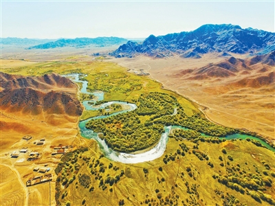 驰牛配资 乌伦古河  生机复苏（我家门前有条河）